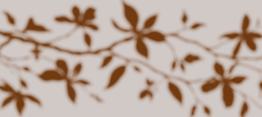 Blurry image of leaves on a branch Blurry image of leaves on a branch