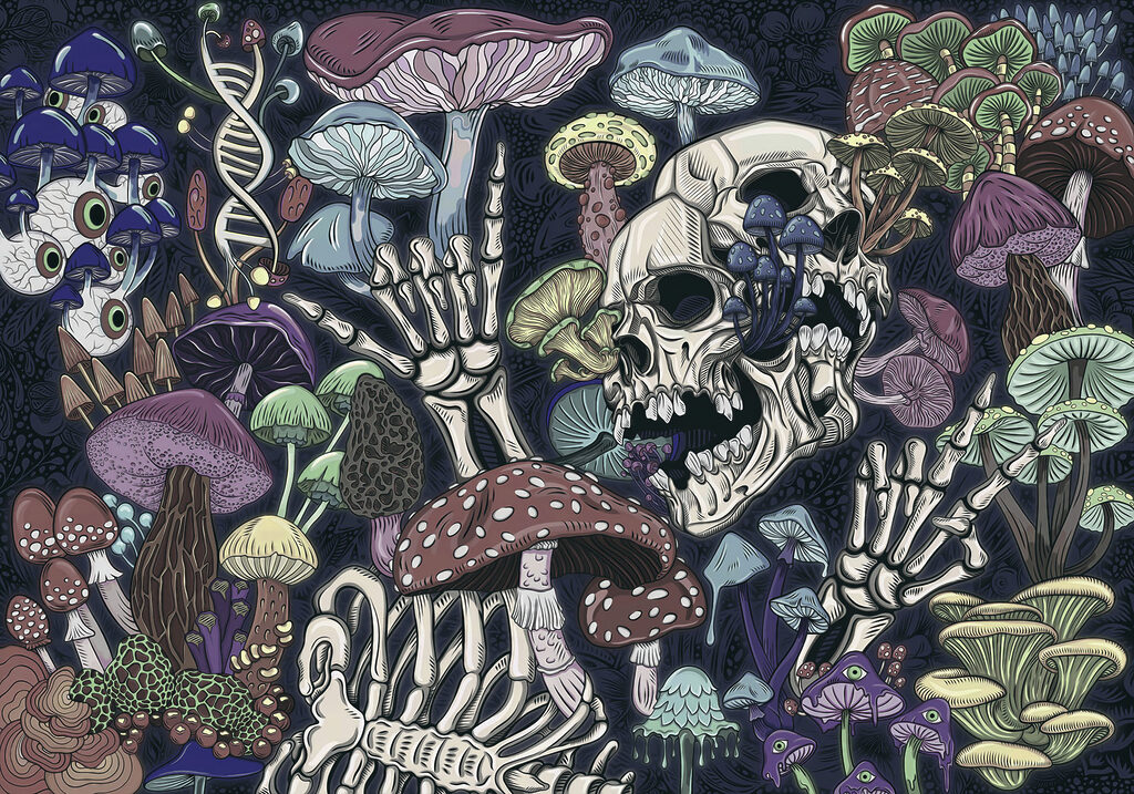 Skeleton and mushrooms with a hand Skeleton and mushrooms with a hand