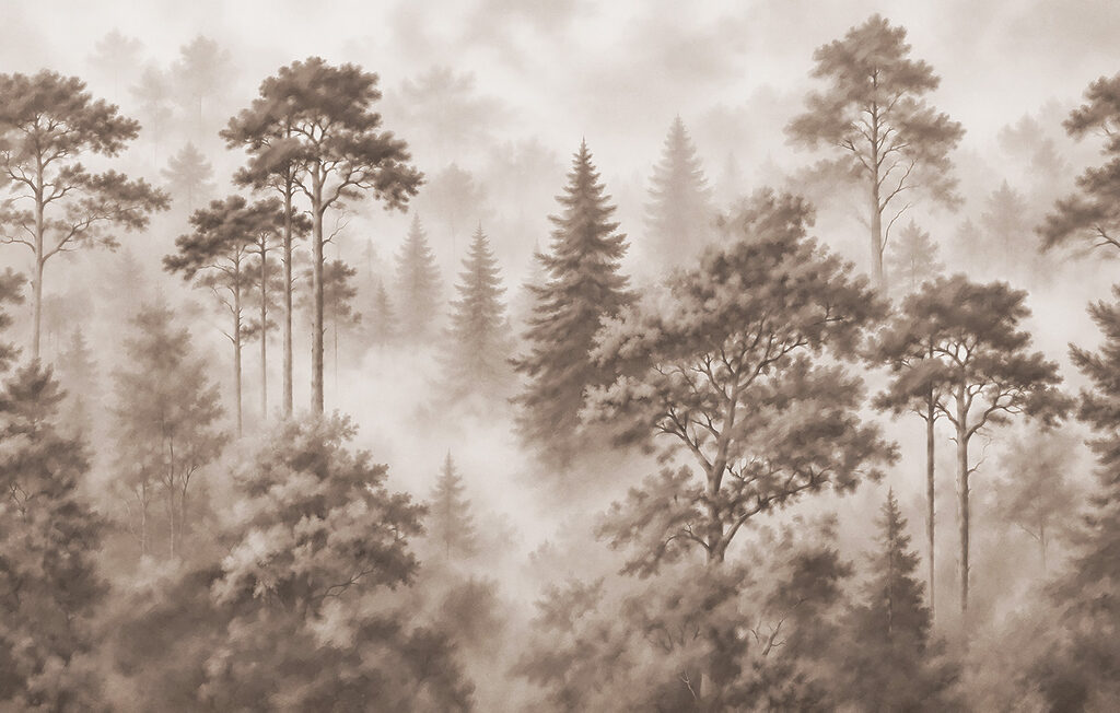 Foggy forest with trees