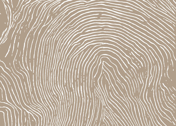 Natural lines create a unique pattern
