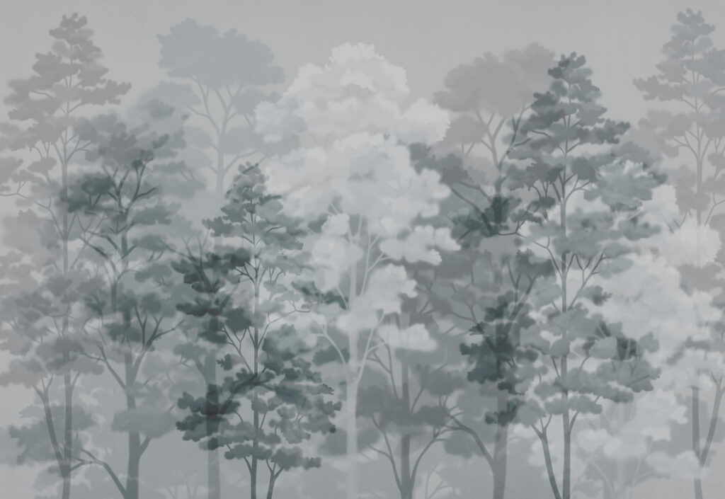 Group of trees in a foggy environment Group of trees in a foggy environment