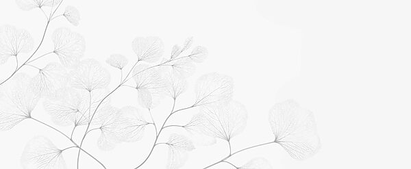 White leafy plant with thin branches White leafy plant with thin branches