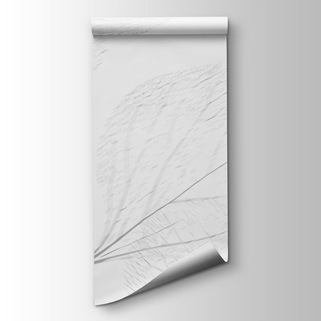 White leafy plant with thin branches White leafy plant with thin branches