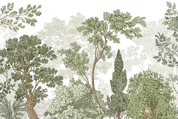 Group of trees with green leaves Group of trees with green leaves