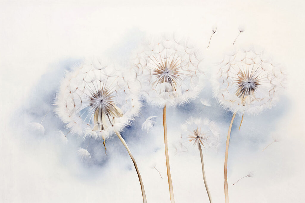 Group of dandelions with seeds flying Group of dandelions with seeds flying