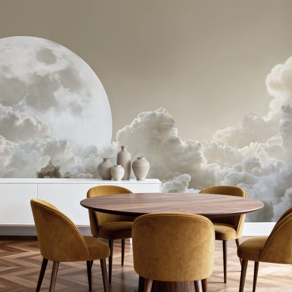 Full moon in the sky