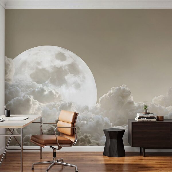 Full moon in the sky