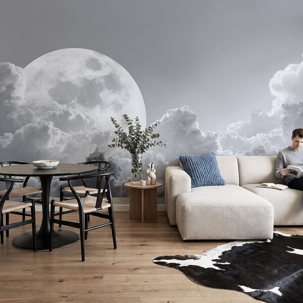 Full moon in the sky Full moon in the sky