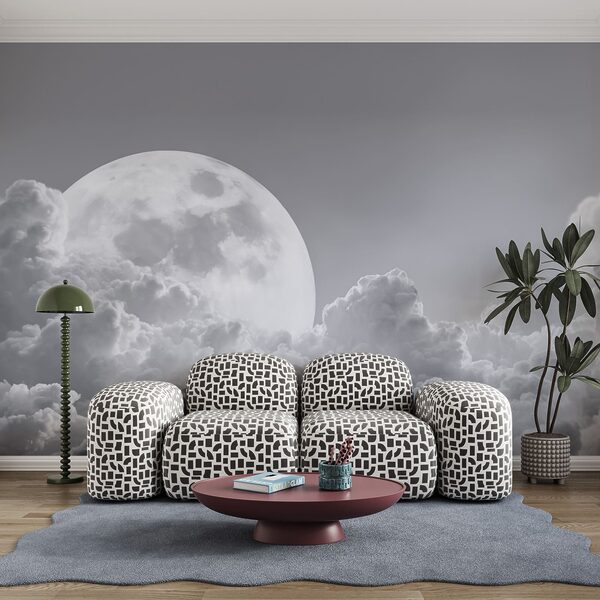Full moon in the sky Full moon in the sky