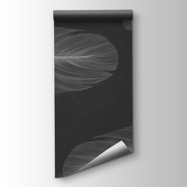 Group of feathers floating in the air Group of feathers floating in the air