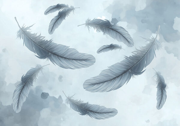 Group of feathers floating in the air
