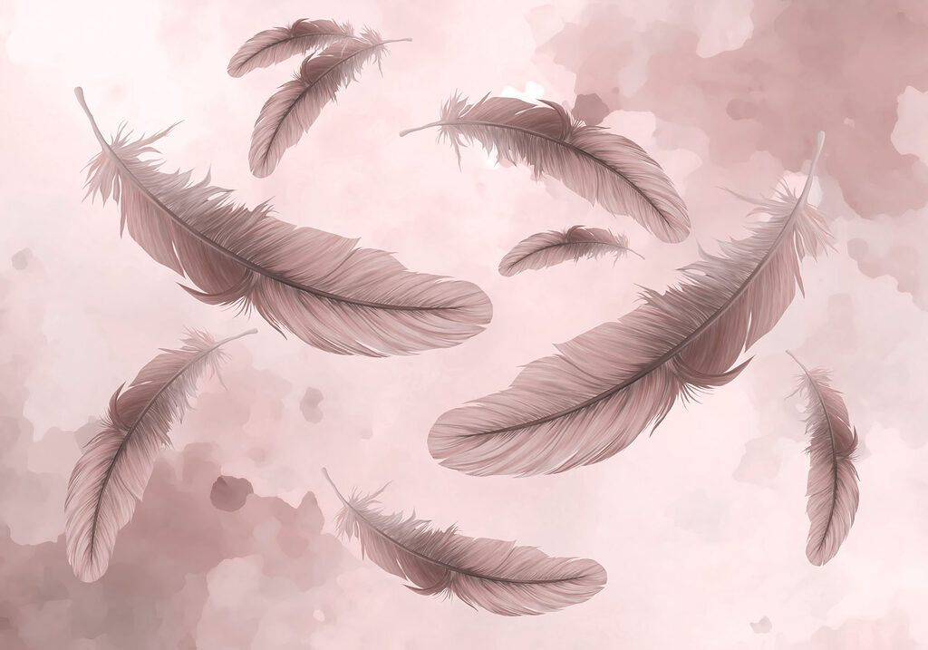 Group of feathers floating in the air