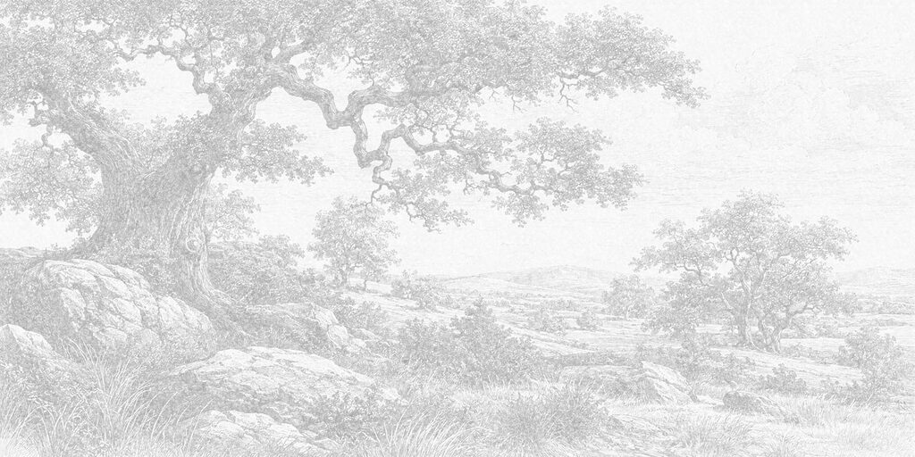 Drawing of a tree and rocks