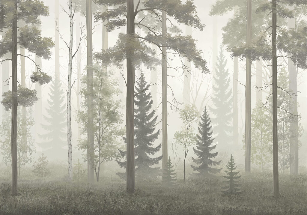 Foggy forest with trees Foggy forest with trees