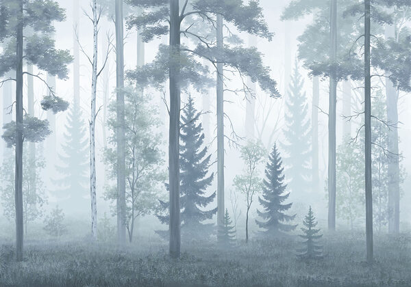 Foggy forest with trees Foggy forest with trees