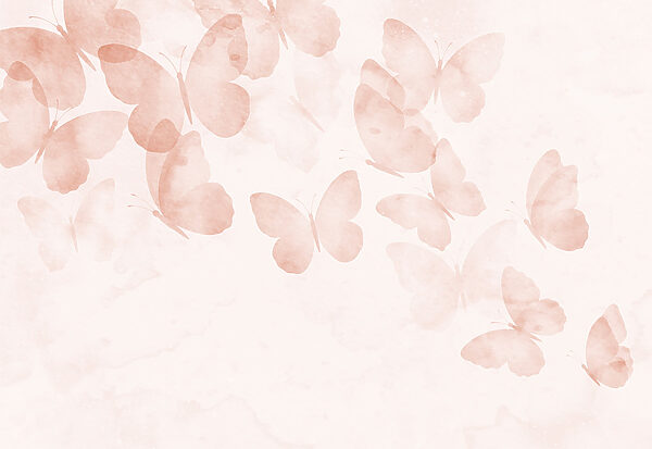 Group of butterflies on a white background Group of butterflies on a white background
