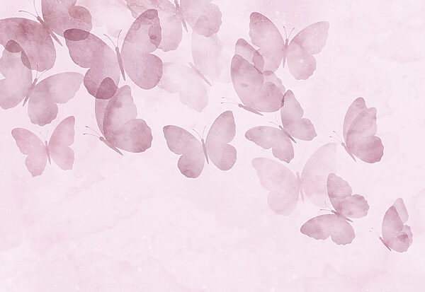 Group of butterflies on a pink background Group of butterflies on a pink background