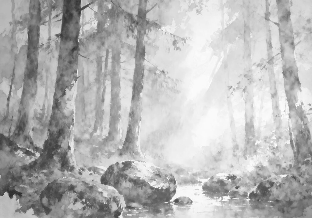 River with rocks in the middle of a forest