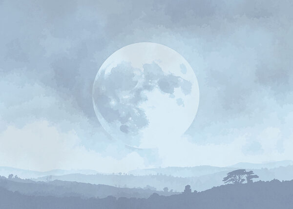 Moon in the sky Moon in the sky