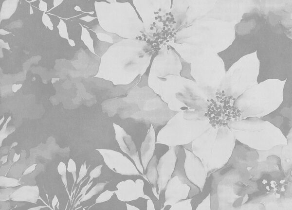 White flowers on a gray background White flowers on a gray background