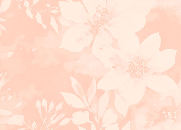 White flowers on a pink background