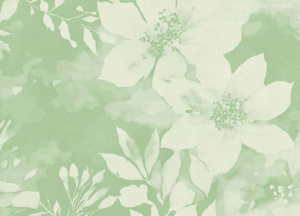 White flowers on a green background White flowers on a green background