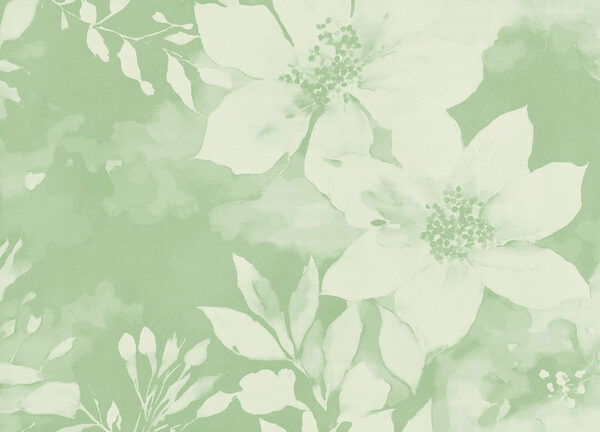 White flowers on a green background White flowers on a green background
