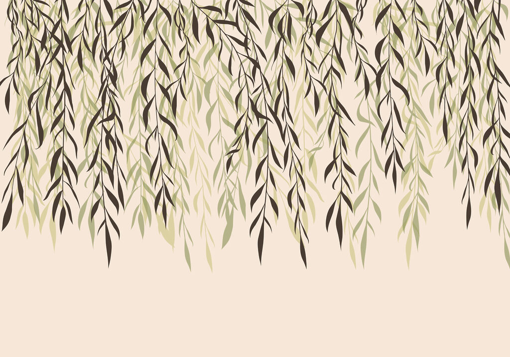 Delicate leaves cascading downward gracefully