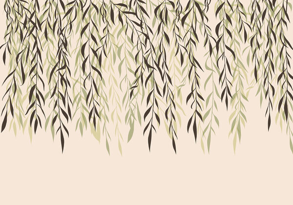 Delicate leaves cascading downward gracefully