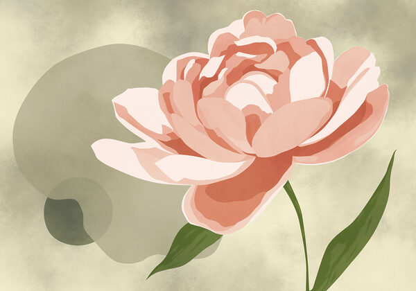 Pink flower with green leaves