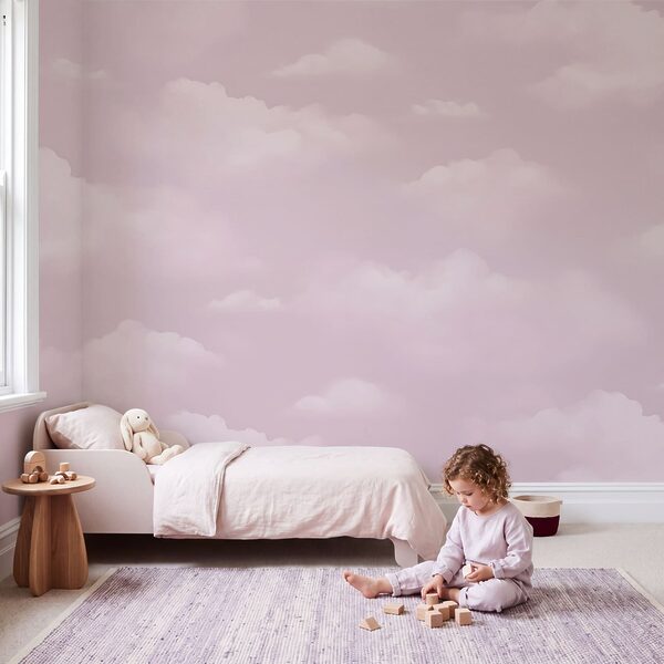 Pink sky with clouds