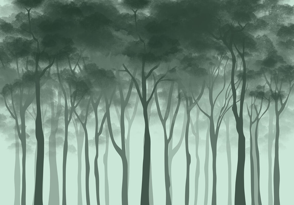 Group of trees in a foggy forest Group of trees in a foggy forest