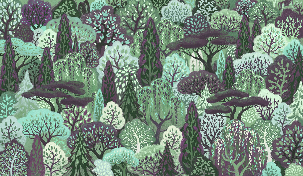 Wall mural Group of trees in a forest (SKU: t01033v5) Wall mural Group of trees in a forest (SKU: t01033v5)
