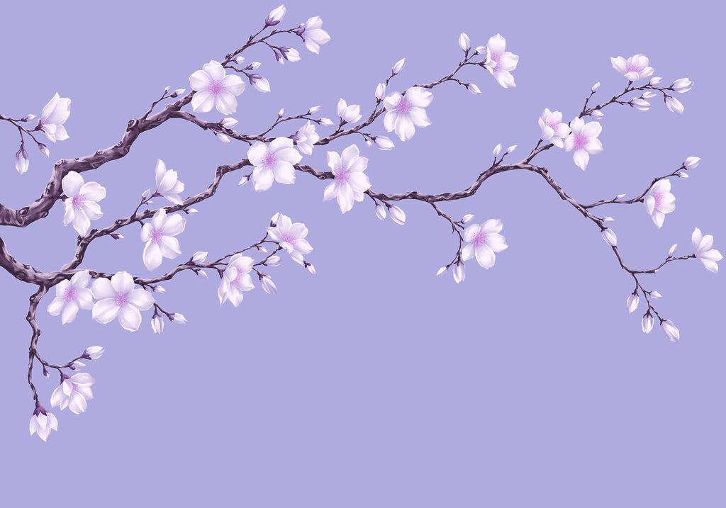 Wall mural Branch with white flowers (SKU: t01044v2)