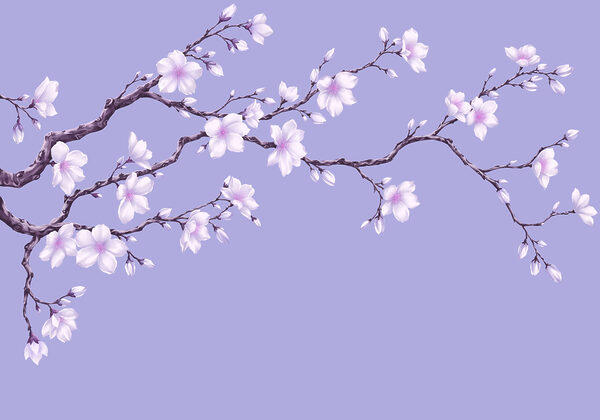 Wall mural Branch with white flowers (SKU: t01044v2)