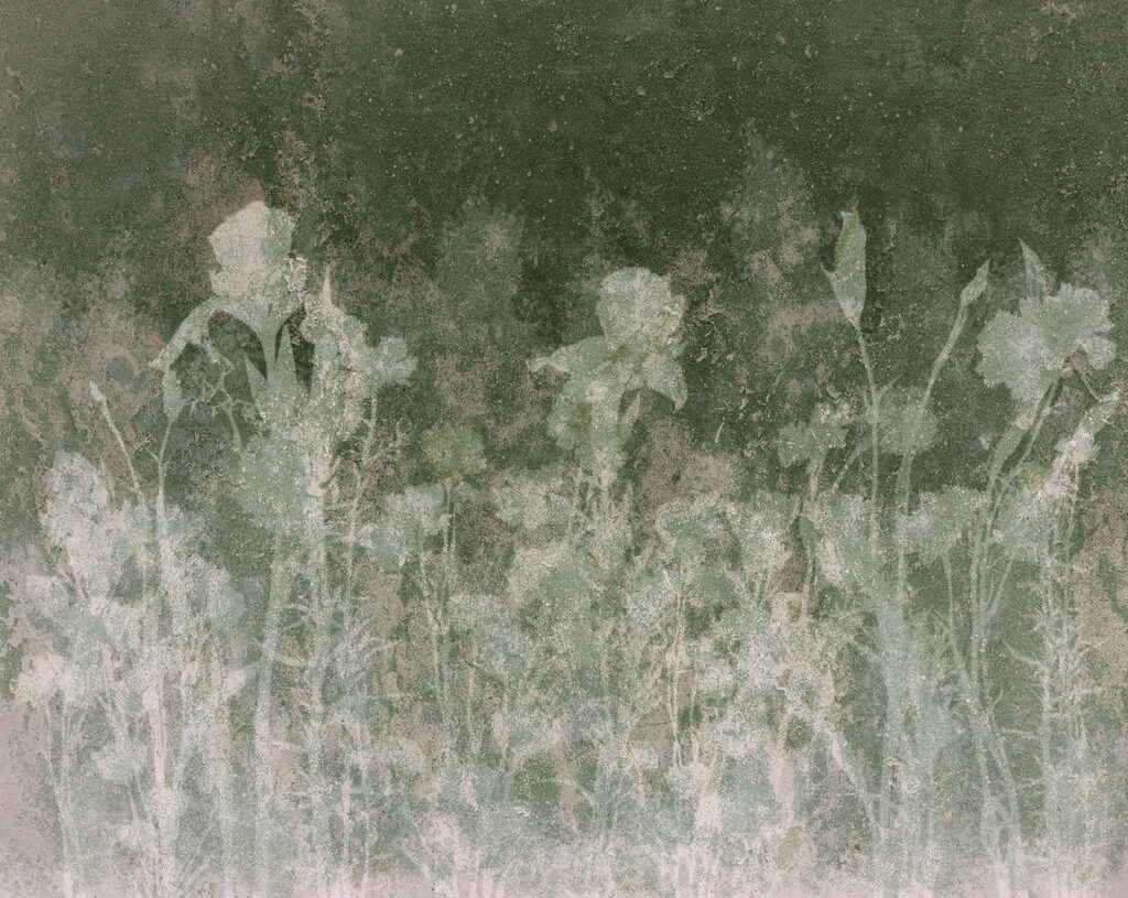 Wall mural Faded flowers in soft green tones (SKU: t01116v3)