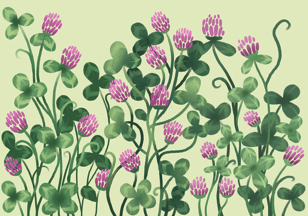 Wall mural - Vibrant blooms in lush greenery (SKU: t01121) Wall mural - Vibrant blooms in lush greenery (SKU: t01121)