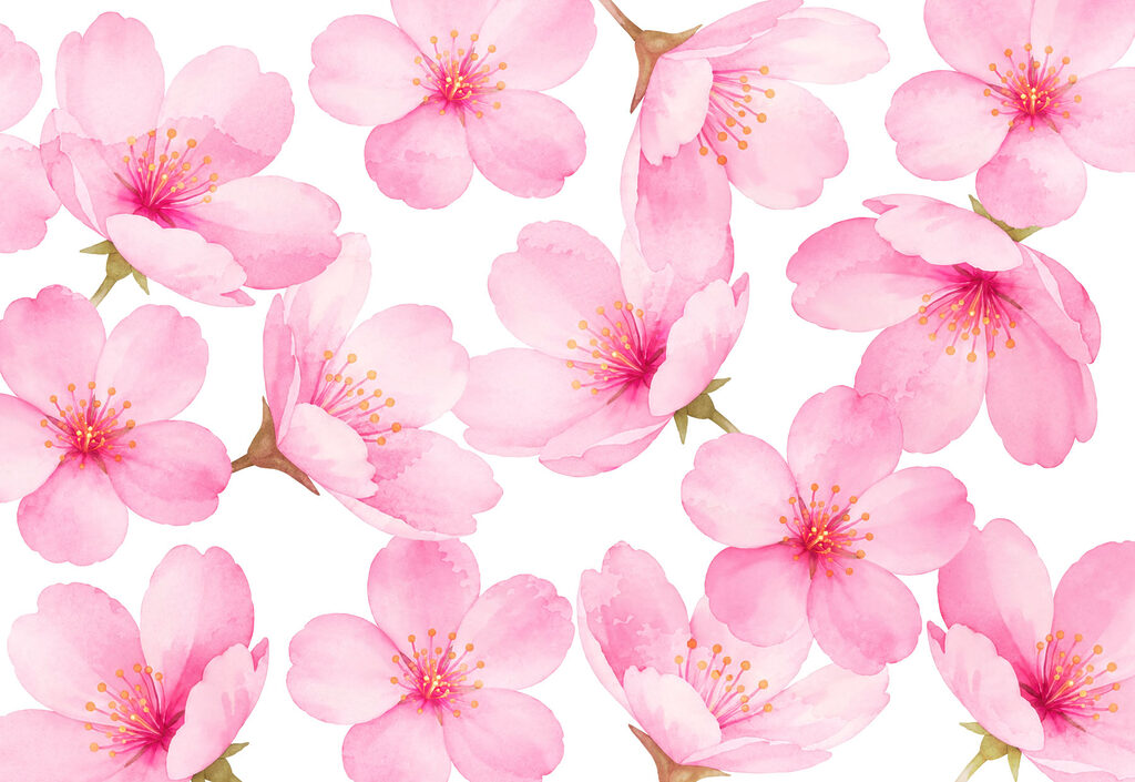 Wall mural Group of pink flowers (SKU: t01132v1)