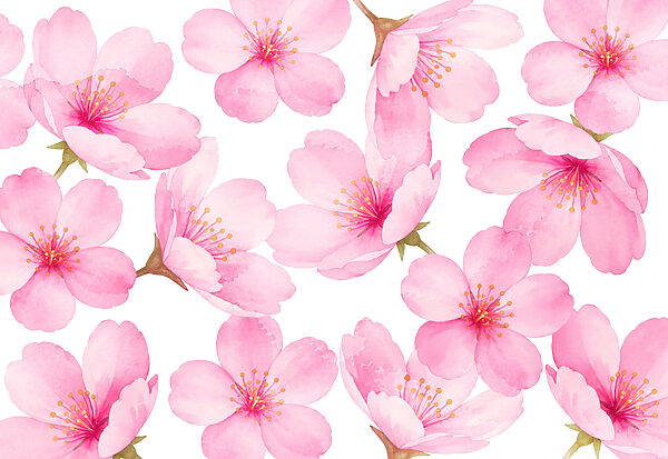 Wall mural Group of pink flowers (SKU: t01132v1)