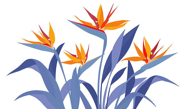 Wall mural Colorful flowers with leaves (SKU: t01139) Wall mural Colorful flowers with leaves (SKU: t01139)
