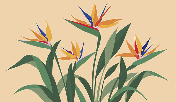 Wall mural Colorful flowers with green leaves (SKU: t01139v1) Wall mural Colorful flowers with green leaves (SKU: t01139v1)