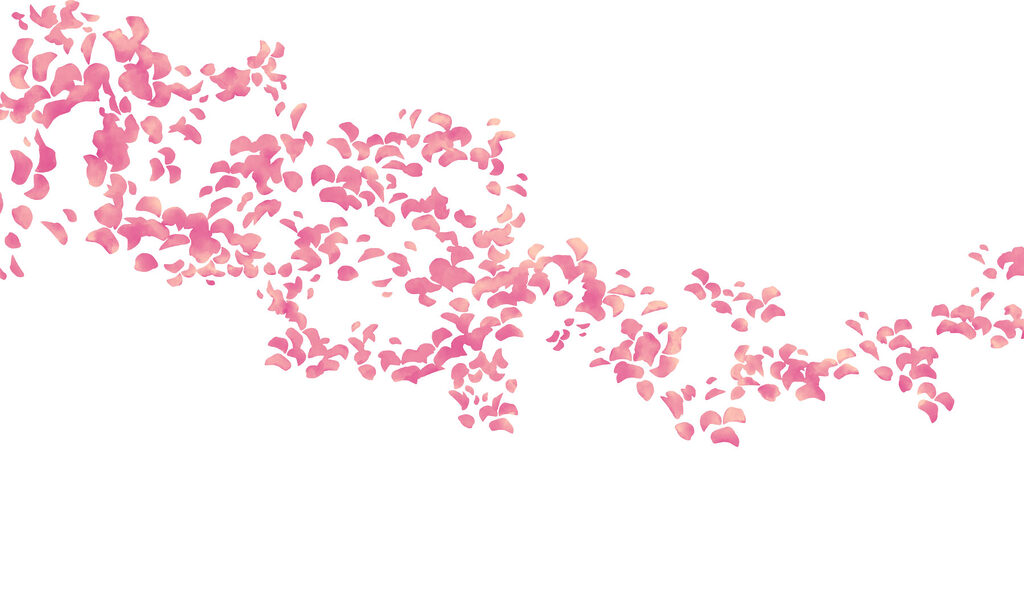 Wall mural Group of pink petals (SKU: t01140v1) Wall mural Group of pink petals (SKU: t01140v1)