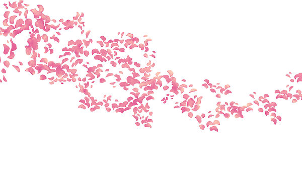 Wall mural Group of pink petals (SKU: t01140v1) Wall mural Group of pink petals (SKU: t01140v1)