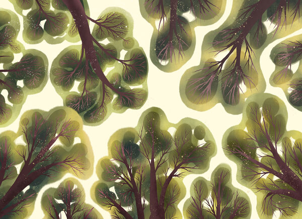 Wall mural Group of trees with green leaves (SKU: t01164) Wall mural Group of trees with green leaves (SKU: t01164)