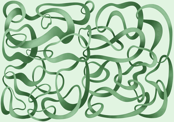 Wall mural Green curly lines on a white background (SKU: t01168v2) Wall mural Green curly lines on a white background (SKU: t01168v2)